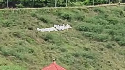 நாங்குநேரி: கொடுமுடியாறு அணையிலிருந்து கார் பருவ சாகுபடிக்கு தண்ணீரை சபாநாயகர் அப்பாவு திறந்து வைத்தார்