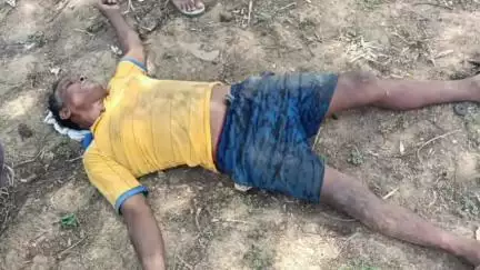 कवर्धा: ग्राम कामठी में बिजली पोल से भरे ट्रैक्टर के खेत में उतरने से चालक को आई गंभीर चोट, अस्पताल में कराया भर्ती