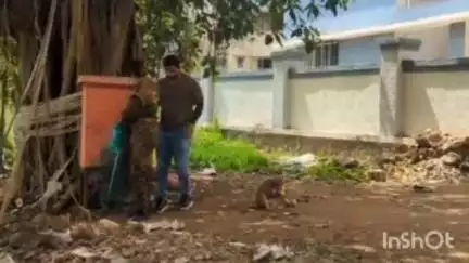 पालघर: वनविभाग व  डहाणू रेस्क्यू टीमने वाडा येथे मोकाट वानराला केले जेरबंद