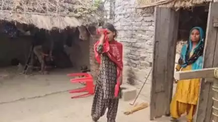 इकौना: इकौना मुर्गी फार्म के पास संदिग्ध परिस्थितियों में दर्जनों बकरियों की मौत, विपक्षियों पर आरोप, पुलिस को दी गई तहरीर