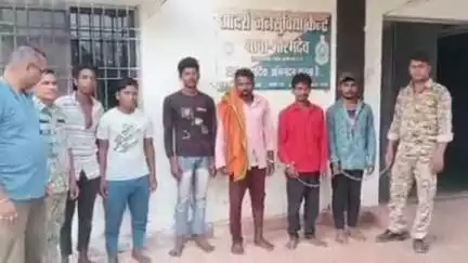 कवर्धा: भोरमदेव रोड में 4 बछड़ों को क्रूरता से मारपीट कर ले जाने वाले 6 आरोपियों को पुलिस ने किया गिरफ्तार
