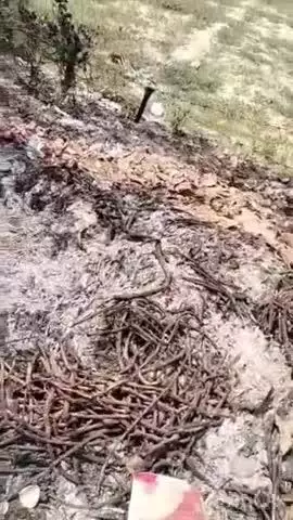 टूंडला: गांव नगला डोरी में 11000 लाइन का तार टूटने से कूड़े के ढेर में लगी आग, ग्रामीणों ने बुझाई