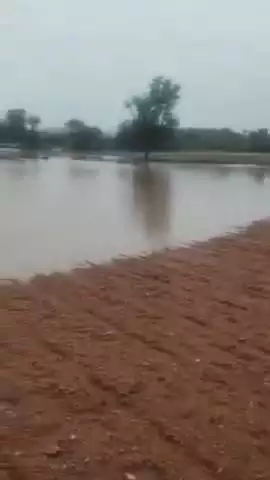 ಕಲಬುರಗಿ: ಮಳೆ ನೀರು ಹೊಲಗಳಿಗೆ ನುಗ್ಗಿ ಅಪಾರ ಪ್ರಮಾಣದ ಬೆಳೆ ಹಾಳು,ಹಣ್ಣಿಕೇರ ಗ್ರಾಮದಲ್ಲಿ ಘಟನೆ