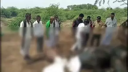 धुळे: बिलाळी रोडवरील वीज कोसळून पाच म्हशींचा मृत्यू, दुग्ध व्यवसायिक भरत बोलीया यांचे मोठे आर्थिक नुकसान
