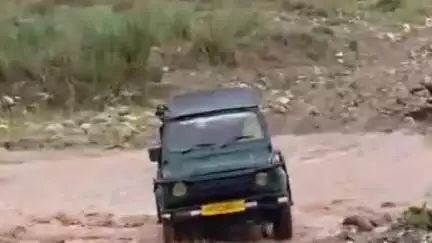 हरिद्वार: चीला में बारिश के कारण बरसाती नालों में आया उफान, जंगल सफारी करने गए पर्यटकों के 14 वाहन जंगल में फंसे