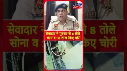 सेवादार ने गुरुघर से 8 तोले सोना व 30 लाख किए चोरी | #shorts | N18S
