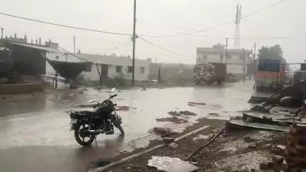 जौरा: जौरा शहर में तेज आंधी के साथ 15 मिनट तक बारिश, कुछ जगहों पर पेड़ गिरने का अनुमान