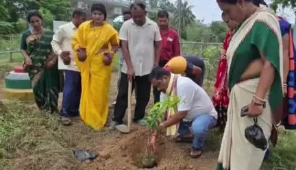 ବାଲେଶ୍ବର ମ୍ୟୁନିସିପାଲଟି: ସରସ୍ଵତୀପୁର ପଞ୍ଚାୟତ ତେଲୁଣୀ ପୋଖରୀ ଠାରେ ଚାରା ଗଛ ରୋପଣ କଲେ ଶାସକ ଦଳ ଉପମୁଖ୍ୟ ସଚେତକ।