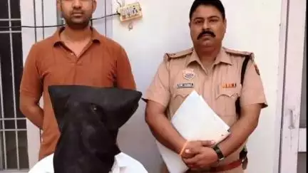 थानेसर: नशीला पदार्थ सुंघाकर गाड़ी चालक से गाड़ी व मोबाइल छीनने के मामले में एक और आरोपी गिरफ्तार