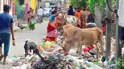 বর্ধমান ১: ভাতছালা ওলাইচণ্ডী মন্দির ও দুর্গা তলার মধ্যবর্তী রাস্তায় পৌরসভার ভ্যাট সরানোর দাবি রাখে এলাকাবাসীর#jansamasya