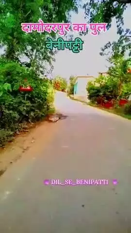 दामोदरपुर का पुल बेनीपट्टी 
#benipatti ##benipattinews #BenipattiNews #benipatti_likes #DIL_SE_BENIPATTI