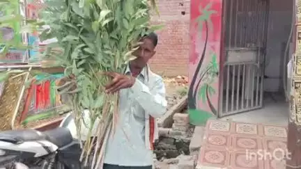 कायमगंज: गांव बेहटा निहाल स्थित खेत पर दबंग ने काटकर फेंके यूकेलिप्टस के पेड़, खेत मालिक ने थाने में की शिकायत