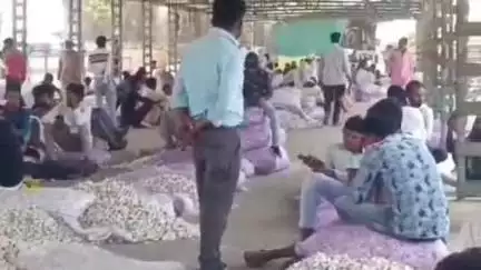 पोलायकलां: पोलाय कला मंडी में प्याज-लहसुन का भाव: एक्स्ट्रा सुपर प्याज ₹1503, लहसुन ₹8000 प्रति क्विंटल तक बिका