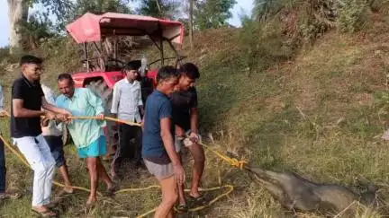 गुण्डरदेही: फुंडा के ग्रामवासियों ने कुएं में गिरे भैंस और उसके बछड़े को जीव सेवा का परिचय देते हुए किया सुरक्षित रेस्क्यू