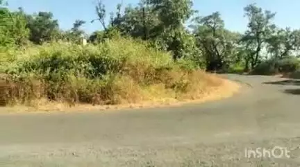 पेठ: घाटाळबारी शिवारात दोन दुचाकींच्या अपघातात एक गंभीर तर तीन जण किरकोळ जखमी