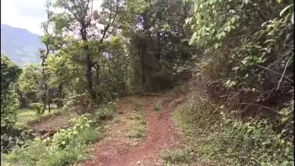 महाबळेश्वर: तालुक्यातील हातरेवाडीतील ग्रामस्थांची स्मशानभूमी व रस्त्याची मागणी #Jansamasya