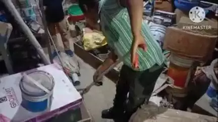 पिथौरागढ़: जाखनी में स्थित हार्डवेयर की दुकान में घुसे सांप को वन विभाग की टीम ने किया रेस्क्यू