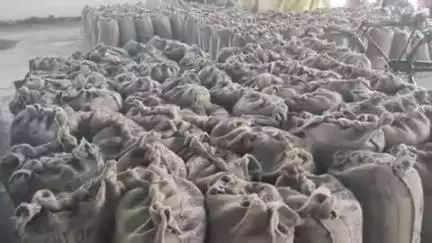 अम्बाला: नई अनाज मंडी में किसानों ने सूरजमुखी फसल की तुलाई में हेराफेरी के खिलाफ मुख्यमंत्री का फूंका पुतला