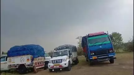 अंब: वन विभाग की टीम ने पकड़ी अवैध लकड़ी से लदी 10 गाड़ियां