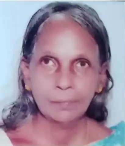 കണ്ണൂർ: പെരിങ്ങോമിൽ കാണാതായ വയോധികയെ വീടിന് സമീപത്തെ തോട്ടിൽ മരിച്ച നിലയിൽ കണ്ടത്തി