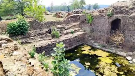 मंडला: देवरी दादार डिपो में स्थित प्राचीन बावड़ी की उपेक्षा, सालों से नहीं हुई सफाई