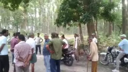 पीलीभीत: जटपुरा के गन्ने के खेत में पानी लगाने गया युवक हुआ लापता, परिजनों ने जताई अनहोनी की आशंका