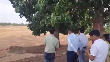 कलेक्टर ने छुईखदान के कोसमर्रा में भू-जल संरक्षण कार्य का निरीक्षण किया, स्टैगर्ड कंटूर ट्रेंच निर्माण की सराहना की