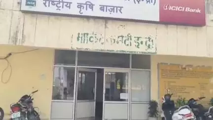 इंद्री: आज दोपहर 3 बजे इन्द्री अनाज मंडी में मक्की की ज़ोरों पर आवक, मंडी मक्की से भरी