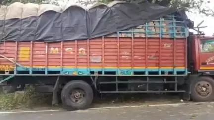धनौरा: रहरा के गांव गुरेठा के पास सामान से लदी डीसीएम पेड़ से टकराई, चालक घायल हुआ