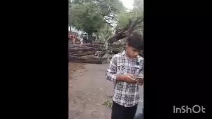 आलोट: जोयन में तेज आंधी-तूफान और बारिश से झोपड़ी पर गिरा पेड़, महिला की मौत