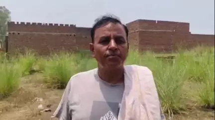 अमरोहा: अमरोहा में नहीं थम रहा देह व्यापार का कारोबार, मोहल्ला इकरार नगर के लोग परेशान