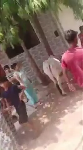 आगरा: विष्णु विहार कॉलोनी में दो लोगों ने घर में घुसकर की मारपीट, दो लोग घायल, वीडियो आया सामने