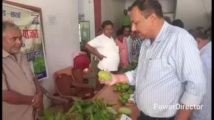 सारवां: सारवां में आम महोत्सव: बागवानी लाभुकों द्वारा उत्पादित फल की प्रदर्शनी, चयनित लाभुक होंगे सम्मानित