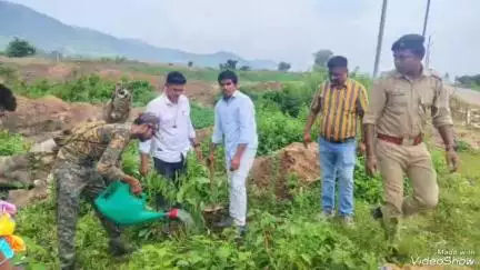 ଲକ୍ଷ୍ମୀପୁର: ବଡସରପଲ୍ଲି ଠାରେ ମାଙ୍କ ନାମରେ ବୃକ୍ଷଟିଏ କାର୍ଯ୍ୟକ୍ରମ ଅନୁଷ୍ଠିତ