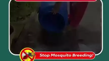 విశాఖపట్నం: విశాఖ నగరంలో ప్రతి శుక్రవారం డ్రైడే పాటించాలని ఓ వీడియో ద్వారా తెలిపిన జీవీఎంసీ అధికారులు