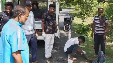 ପରଜଙ୍ଗ: ନାରଦମୁଣ୍ଡା ଗାଁ ନିକଟରେ ଶୁକ୍ରବାର ୪ଟାରେ ସଡକ ଦୁର୍ଘଟଣାରେ ଗୁରୁତରଙ୍କୁ ମେଡ଼ିକାଲ ପଠାଇଲେ ବିଧାୟକ ବିଭୁତି ପ୍ରଧାନ