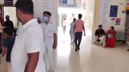 साक्री: पिसाळलेल्या कुत्र्याच्या हल्ल्यात पिंपळनेरच्या रोशननगरमधील चौघे जखमी; जखमींना तात्काळ धुळे येथे हलविले #Jansamasya