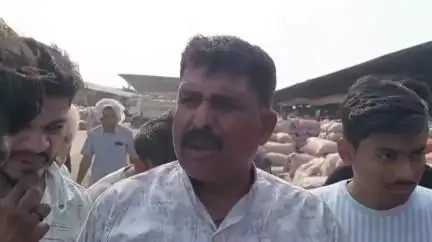 शाजापुर: शाजापुर की कृषि उपज मंडी में 11989 क्विंटल प्याज की हुई आवक, ₹250 से लेकर ₹1300 प्रति क्विंटल तक रहे भाव
