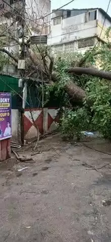 गुना नगर: शहर में तेज आंधी व बारिश की वजह से गिरे पेड़ व विद्युत पोल, बिजली आपूर्ति हुई ठप