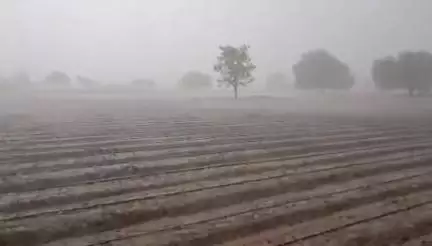 हिंगोली: दुर्गधामणी येथे वीज पडून तरुण शेतकऱ्याचा मृत्यू