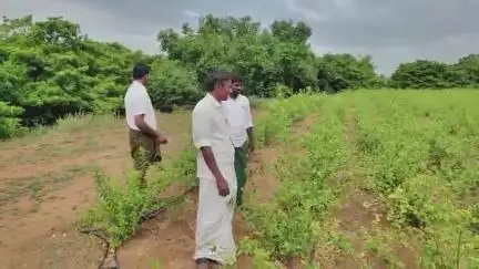 శింగనమల: చెన్నంపల్లి గ్రామంలో హార్టికల్చర్ రైతుల సమస్యను పరిష్కరించాలని ప్రభుత్వాన్ని డిమాండ్ చేసిన రైతులు