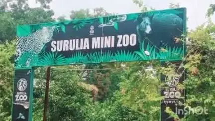 পুরুলিয়া ২: প্রচণ্ড গরমে পুরুলিয়ার মিনি জুতে থাকা পাখি ও পশুদেরও খাবার পরিবর্তন; দেওয়া হচ্ছে ORS, অত্যধিক জল সহ অন্যরা