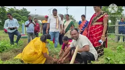 ସିମୁଳିଆ: ସରସ୍ୱତୀପୁର ତେଲୁଣି ପୋଖରୀ ପାର୍ଶ୍ୱରେ ମା' ପାଇଁ ଗଛ ଟିଏ କାର୍ଯ୍ୟକ୍ରମରେ ଯୋଗଦେଲେ ବିଧାୟକ