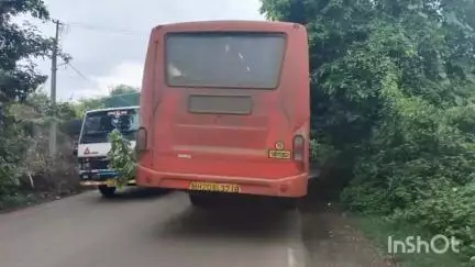 अलिबाग: अलिबाग-वावे मार्गावर कुरूळ येथील क्षत्रिय समाज हॉलजवळ एसटीची दुचाकीला धडक, दोघेजण जखमी