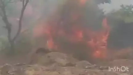 देेवगढ़: देवगढ़ ग्रेनाइट वेलफेयर संस्थान (कुंदवा नर्सरी) में अज्ञात कारणों से आग लग गई