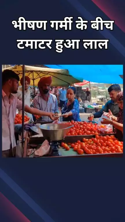 पटेल नगर: भीषण गर्मी में टमाटर हुआ लाल, दाम डेढ़ से दो गुना बढ़ा; थोक में ₹50 और खुदरा में ₹80 किलो