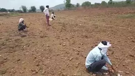 डिंडौरी: पड़रिया गांव में स्वास्थ्य केंद्र के निर्माण के लिए भूमि पूजन किया गया, निर्माण कार्य शुरू