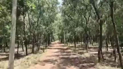 ফরিদপুর দুর্গাপুর: লাউদোহা থানার বাঁশগড়া জঙ্গলপাড়া স্বপ্নে বিভোর সুরজিৎ অন্তরায় আর্থিক অবস্থা