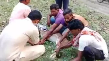कवर्धा: नपं बोडला वार्ड नं 10 में पानी की तलाश में जंगल से भटककर रियासी इलाके में घुसी हिरण, मचा हड़कंप, फॉरेस्ट की टीम ने पकड़ा