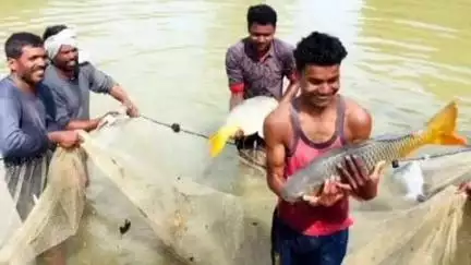 रामानुजनगर: जिले में 16 जून से 15 अगस्त तक मछली पकड़ना पूर्णतः बंद